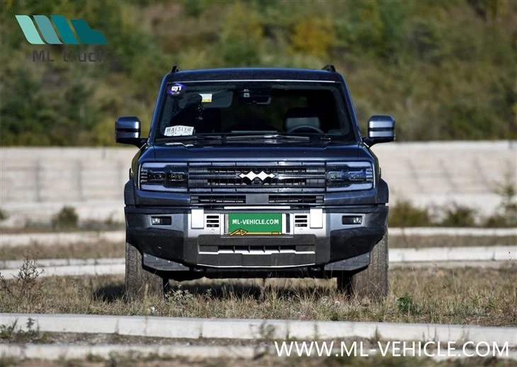 BYD Formula Leopard 5