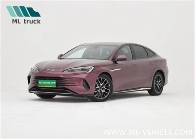 Tesnilo BYD DM-i