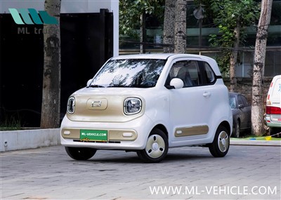 2024 Faw Bestune Pony Mini EV
